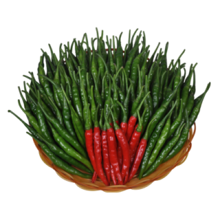 Tejaab Hot Pepper From Known You Seed (India) (1)-KYI